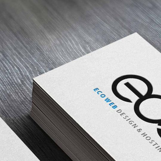 Eco Web Logo Design